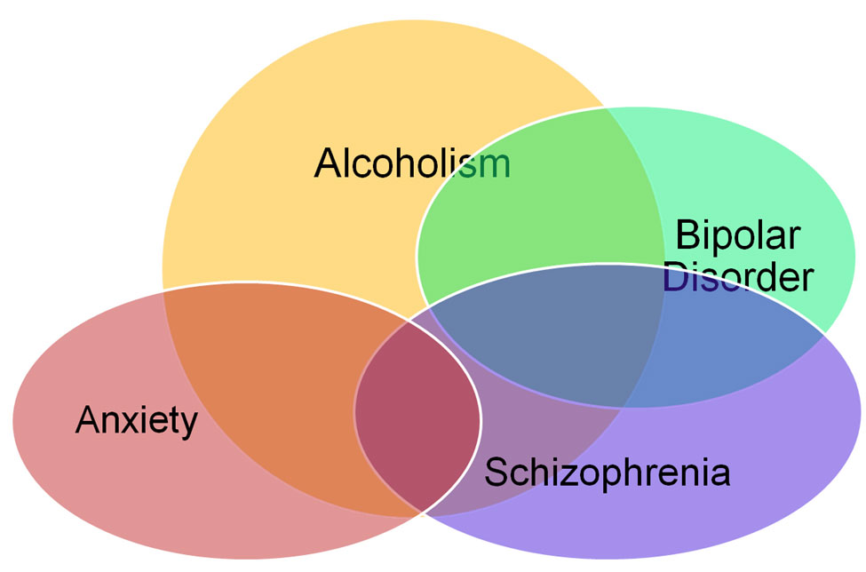 cooccurring disorders that occurr during addiction by the best drug rehabs in Michigan